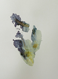 Jocelyne Thibault-Octopus Printus